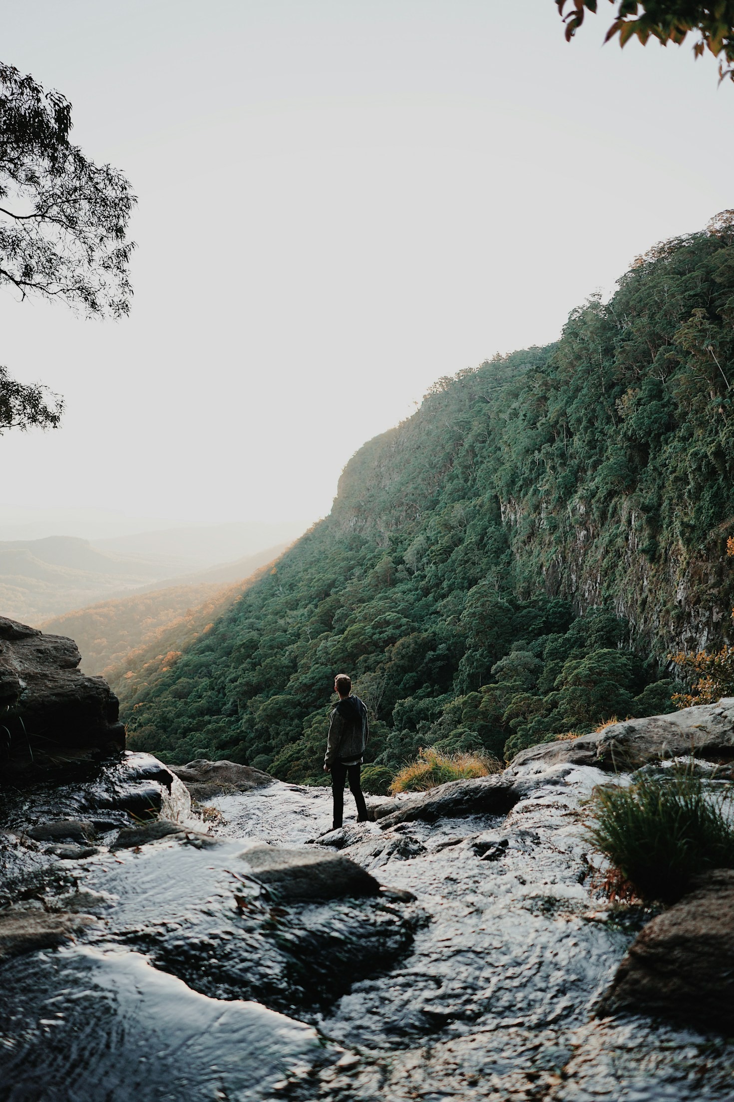 Why Nature Matters for Your Wellbeing