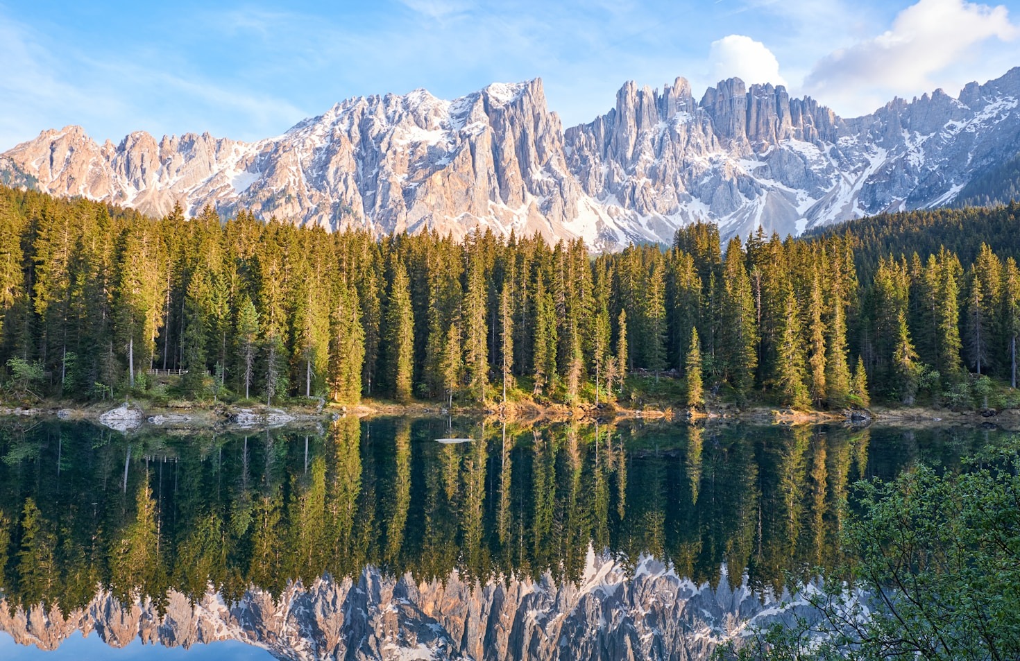 Why Nature Matters for Your Wellbeing
