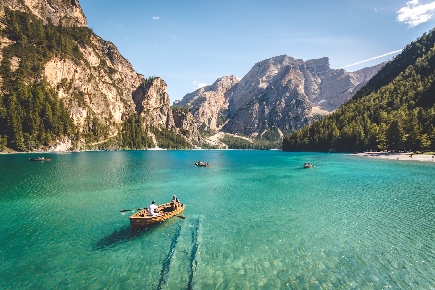 The Best Spots for Weekend Picnics